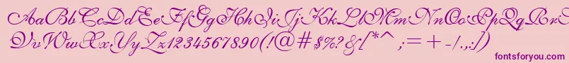English111PrestoBt Font – Purple Fonts on Pink Background