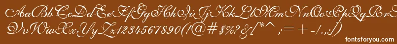 English111PrestoBt Font – White Fonts on Brown Background