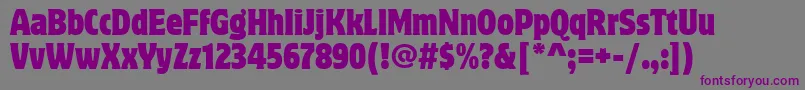 MotterCorpusCondItcTt-fontti – violetit fontit harmaalla taustalla