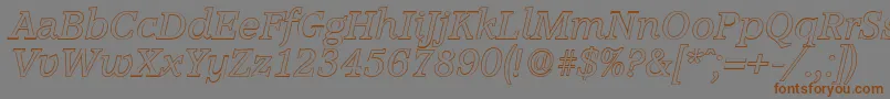 AccoladeoutlineItalic Font – Brown Fonts on Gray Background