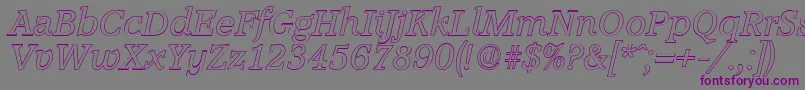 AccoladeoutlineItalic Font – Purple Fonts on Gray Background
