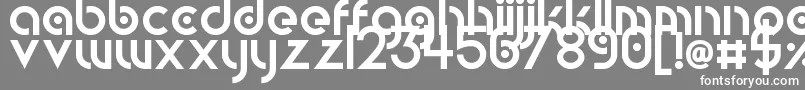 CircularAbstracts Font – White Fonts on Gray Background