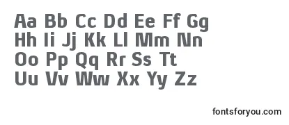 XenublRegular Font