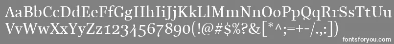 LinotypeReallyMedium Font – White Fonts on Gray Background