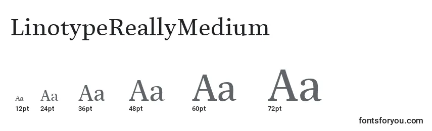 Размеры шрифта LinotypeReallyMedium