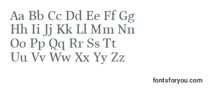 Шрифт LinotypeReallyMedium