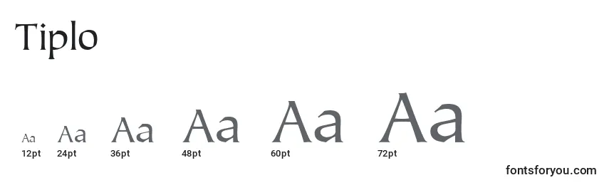 Tiplo Font Sizes