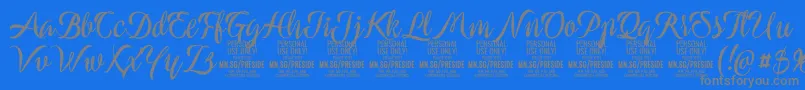 PresideboldPersonalUse Font – Gray Fonts on Blue Background