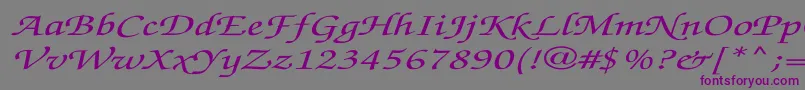 ZapfchanceryMediumitalicEx Font – Purple Fonts on Gray Background