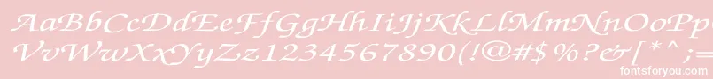 ZapfchanceryMediumitalicEx Font – White Fonts on Pink Background