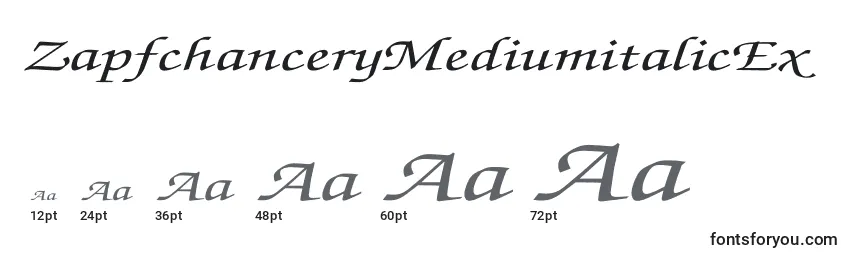 Размеры шрифта ZapfchanceryMediumitalicEx