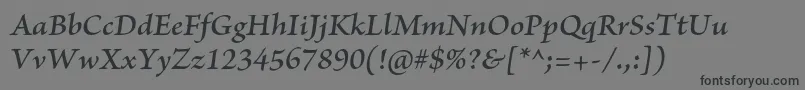 BriosoproSemiboldit Font – Black Fonts on Gray Background