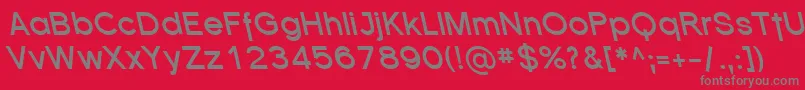 SfflorencesansrevBolditali Font – Gray Fonts on Red Background