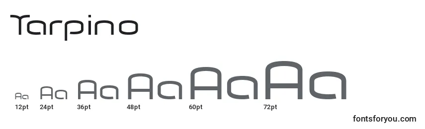 Tarpino Font Sizes