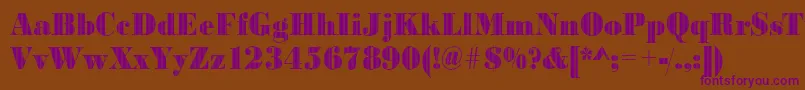 BodonivjetRegular-fontti – violetit fontit ruskealla taustalla