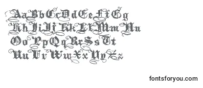 Обзор шрифта Kothika