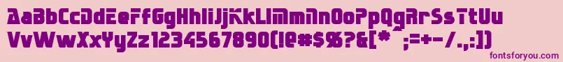 SternbachBold Font – Purple Fonts on Pink Background