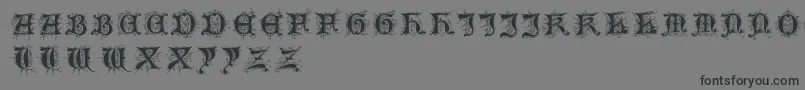 Tosca Font – Black Fonts on Gray Background