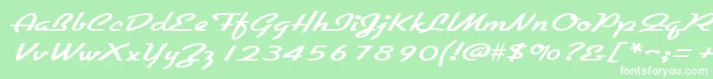 GallantewideRegular Font – White Fonts on Green Background