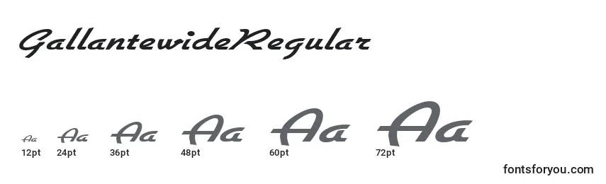 Размеры шрифта GallantewideRegular