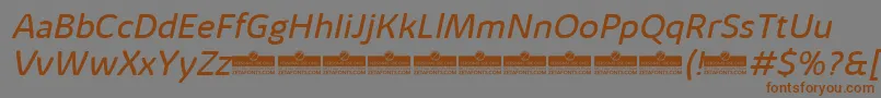 KabrioAlternateBookItalicTrial Font – Brown Fonts on Gray Background