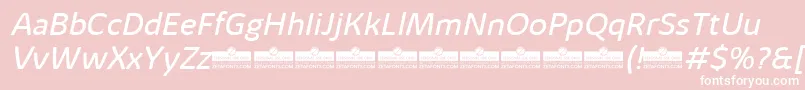 KabrioAlternateBookItalicTrial Font – White Fonts on Pink Background