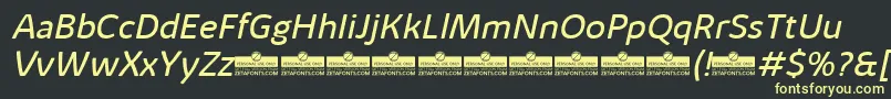 フォントKabrioAlternateBookItalicTrial – 黒い背景に黄色の文字