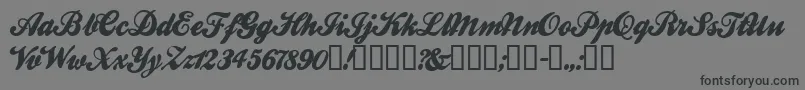 BallparkWeiner Font – Black Fonts on Gray Background