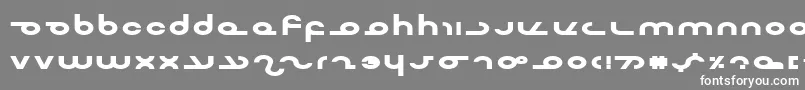 MasterdomExpBold Font – White Fonts on Gray Background