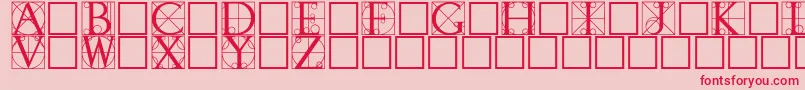 Walrod Font – Red Fonts on Pink Background