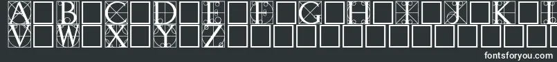 Шрифт Walrod – белые шрифты на чёрном фоне