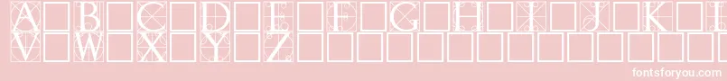 Walrod Font – White Fonts on Pink Background