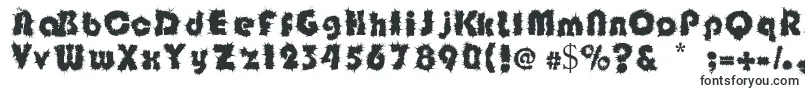 Shockfloyd Font – Fancy Fonts