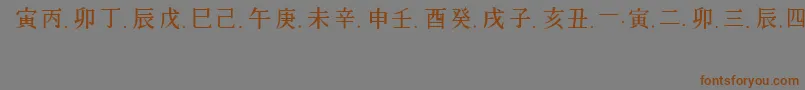 ChineseGeneric1 Font – Brown Fonts on Gray Background
