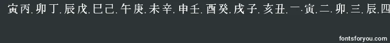 フォントChineseGeneric1 – 白い文字