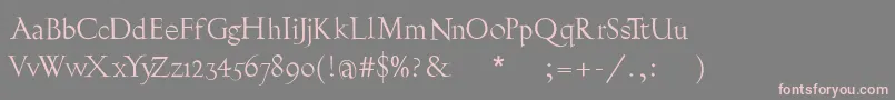 Burklein Font – Pink Fonts on Gray Background
