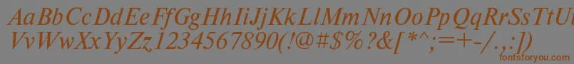 フォントTimesetItalic – 茶色の文字が灰色の背景にあります。