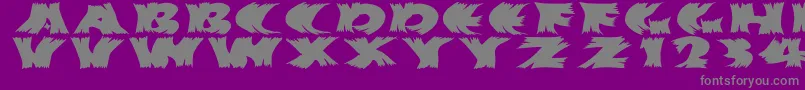 Hurrikanish Font – Gray Fonts on Purple Background