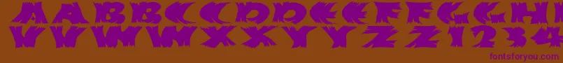 Hurrikanish Font – Purple Fonts on Brown Background