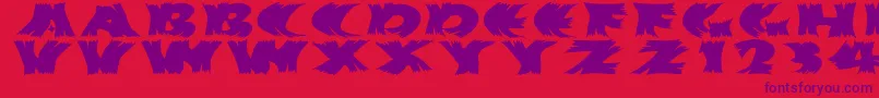 Hurrikanish Font – Purple Fonts on Red Background