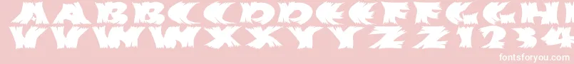fuente Hurrikanish – Fuentes Blancas Sobre Fondo Rosa