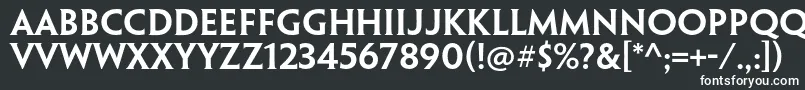 PenumbrahalfserifstdSebd-fontti – valkoiset fontit mustalla taustalla