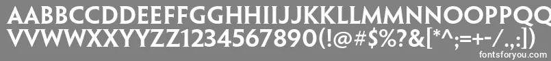 PenumbrahalfserifstdSebd-fontti – valkoiset fontit harmaalla taustalla