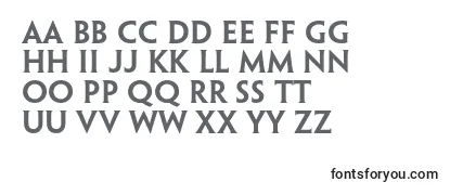 Review of the PenumbrahalfserifstdSebd Font