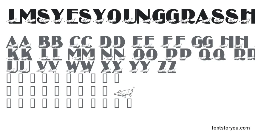 Czcionka LmsYesYoungGrasshopper – alfabet, cyfry, specjalne znaki