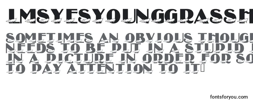 Review of the LmsYesYoungGrasshopper Font