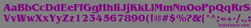 AgbengalyBold Font – Purple Fonts on Gray Background