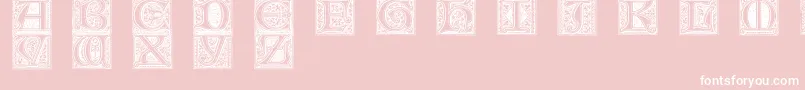 Mevno1 Font – White Fonts on Pink Background