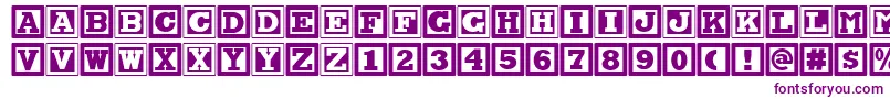 Chock A Blocknf Font – Purple Fonts on White Background
