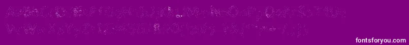 Pikia Font – White Fonts on Purple Background